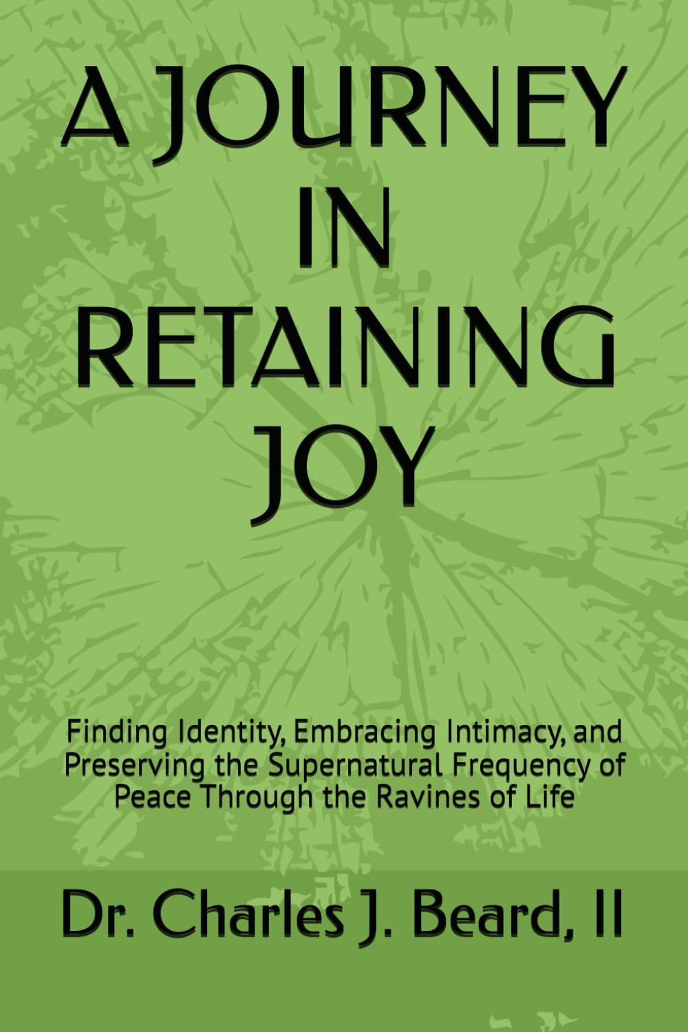 Book cover: A Journey in Retaining Joy by Dr. Charles J. Beard, II